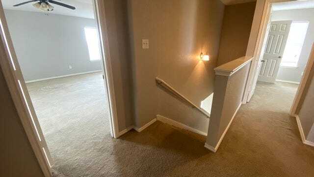 Building Photo - 2334 Cats Paw View