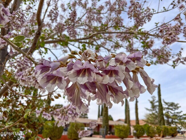 Building Photo - 1316 Hookridge Dr