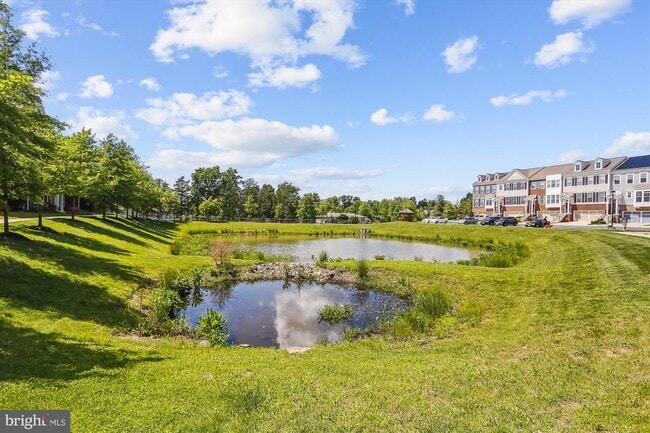 Building Photo - 43595 Aldie Mill Ct