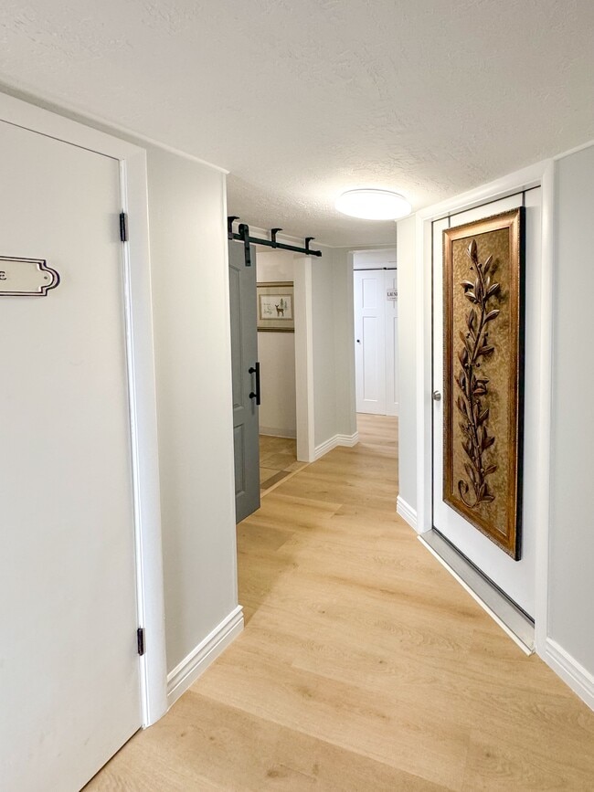 Building Photo - Cozy Basment/Lower Level Apartment