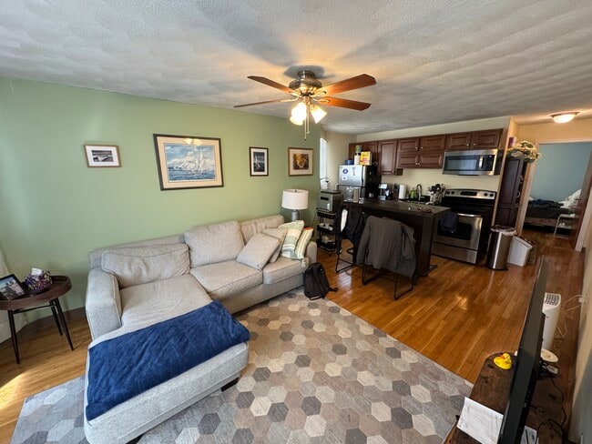 Building Photo - 217 Holland St