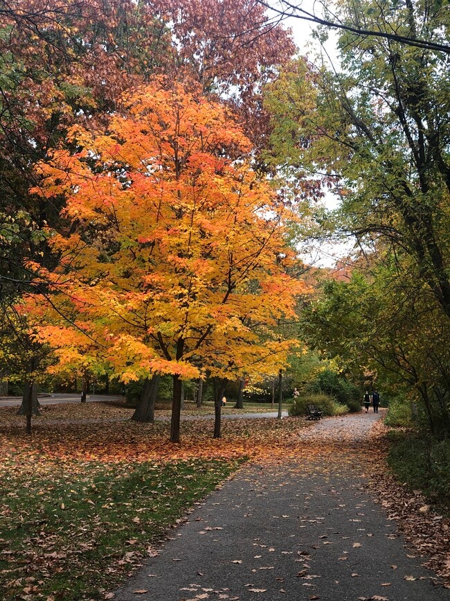 Building Photo - 77 Pond Ave