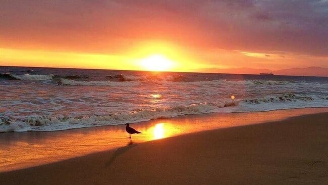 Building Photo - 4280 Galt Ocean Dr