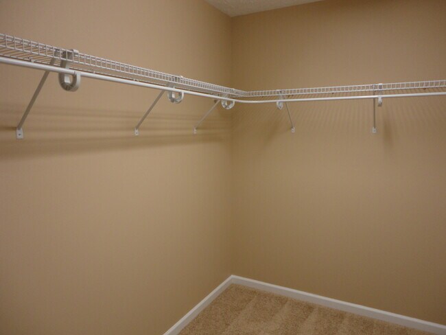 Building Photo - 4423 Pimlico Pl