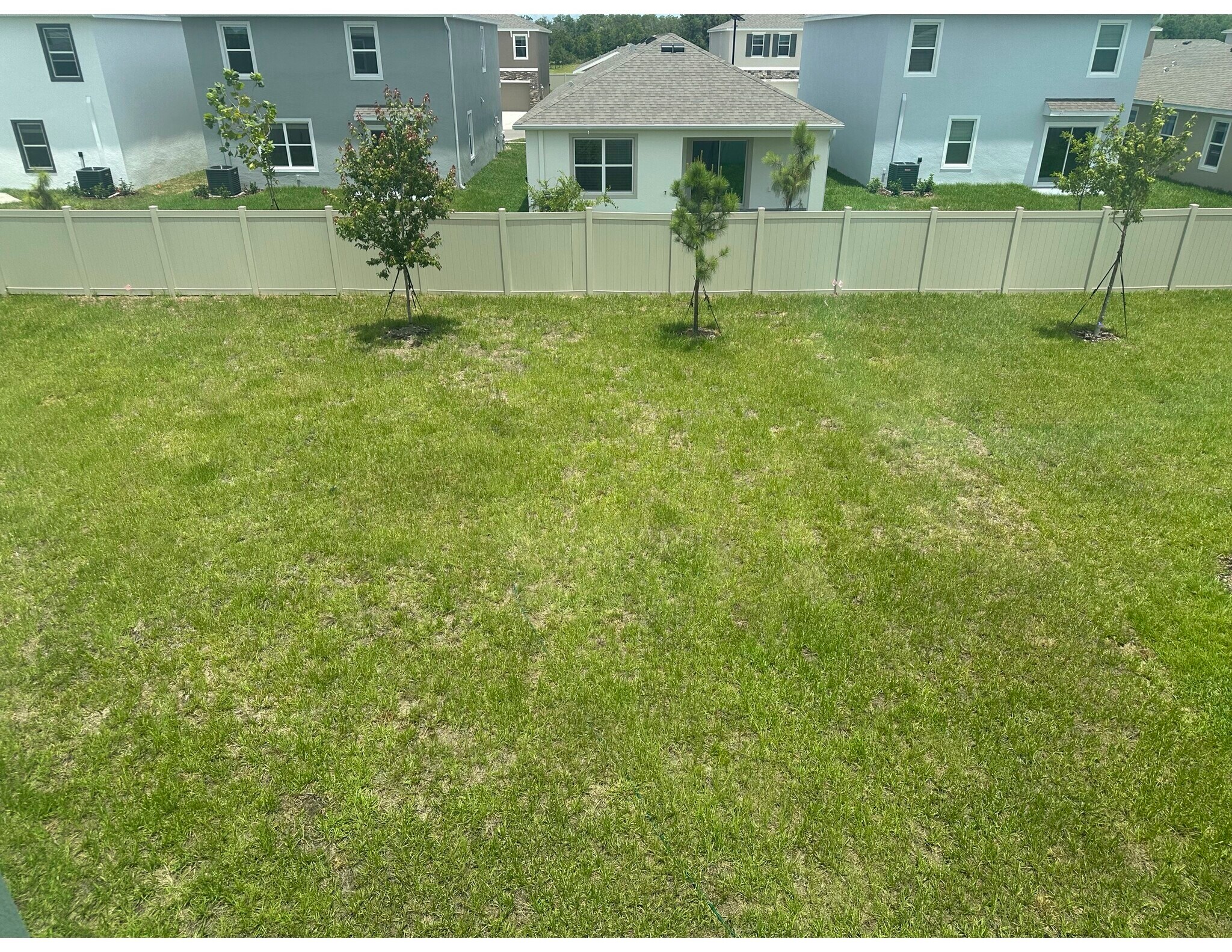 Backyard - 10588 Farm Hill Ave