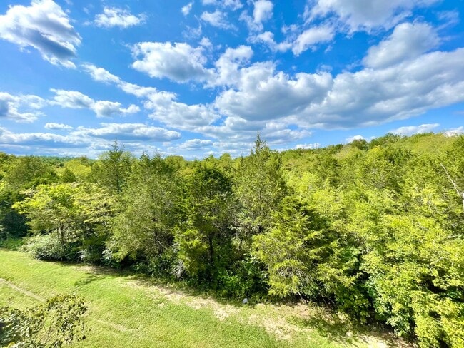 Building Photo - Beautiful Condo! Views & Nature from Every Window! Pet Friendly! Required Insurance & Air Filters...