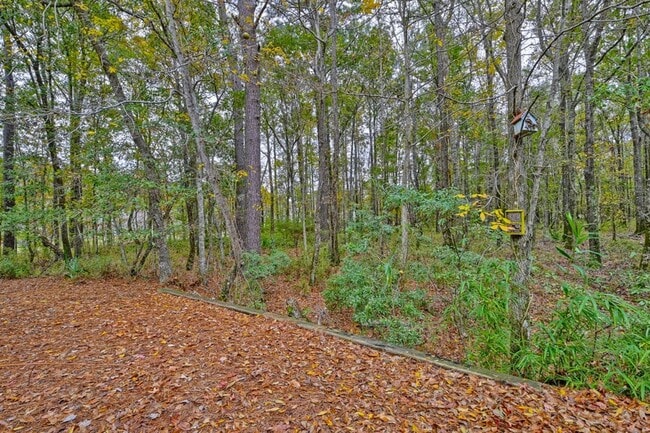 Building Photo - 3 Bedroom, 2.5 Bathroom Townhome in Ellington Woods - Mt Pleasant