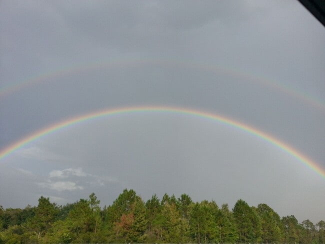Building Photo - Vero Beach Rentals. Vero Beach Homes For Rent. Vero Beach Rent, LLC and Property Management Company