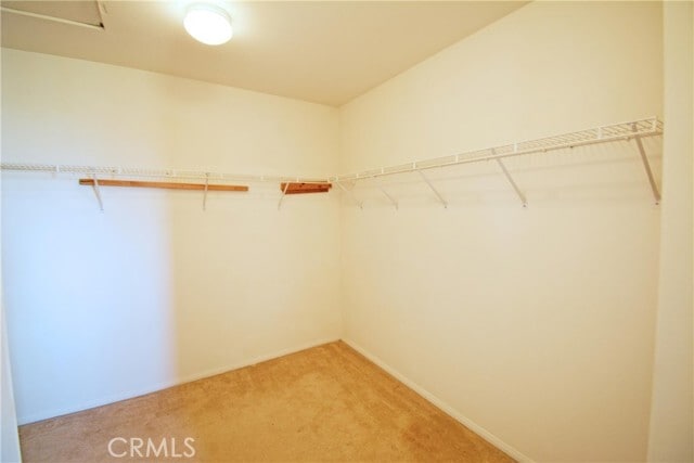 Building Photo - 323 Lydia Ln