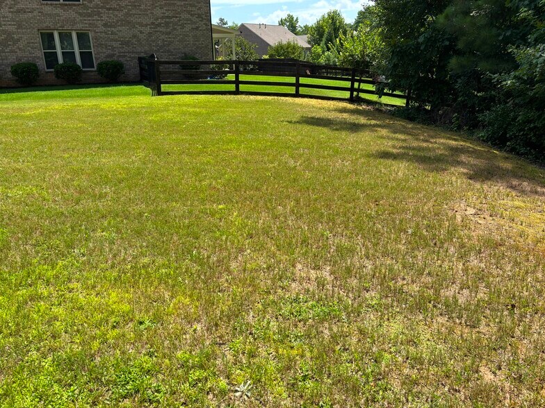 Building Photo - 2035 Davallia Ct
