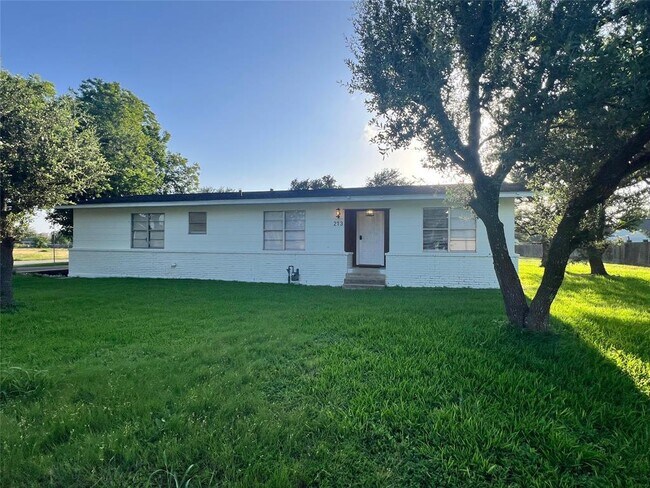 Building Photo - 213 S FM 1660