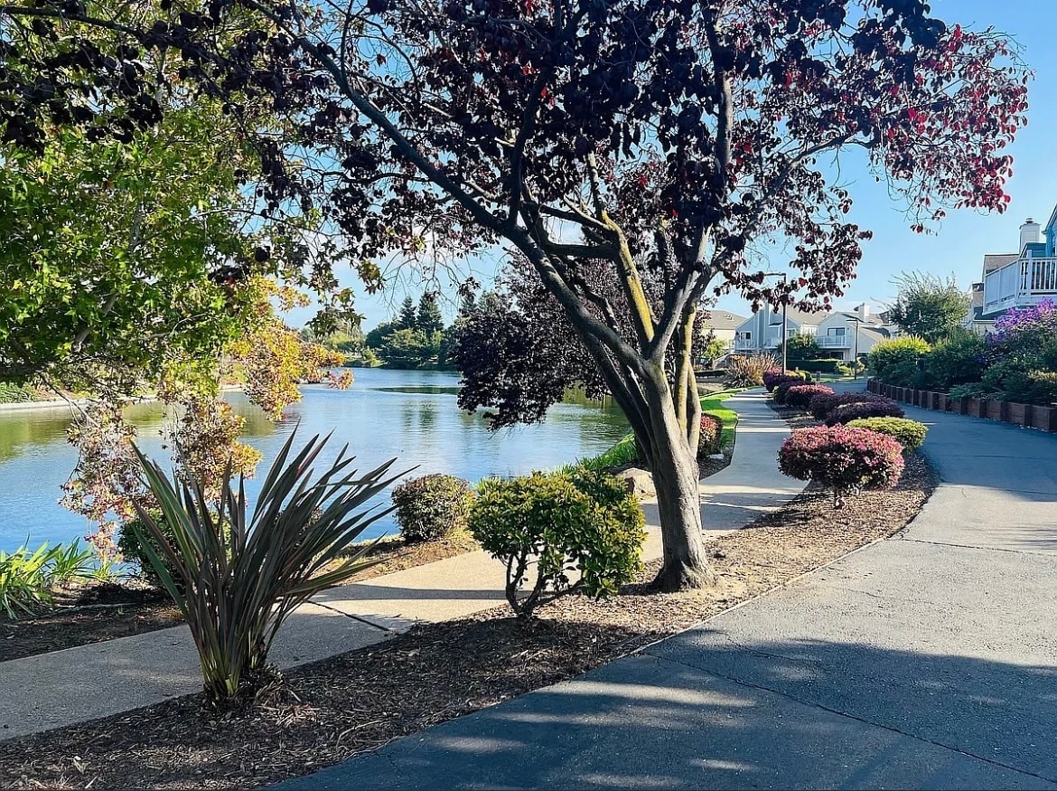 Building Photo - 127 Shepardson Ln