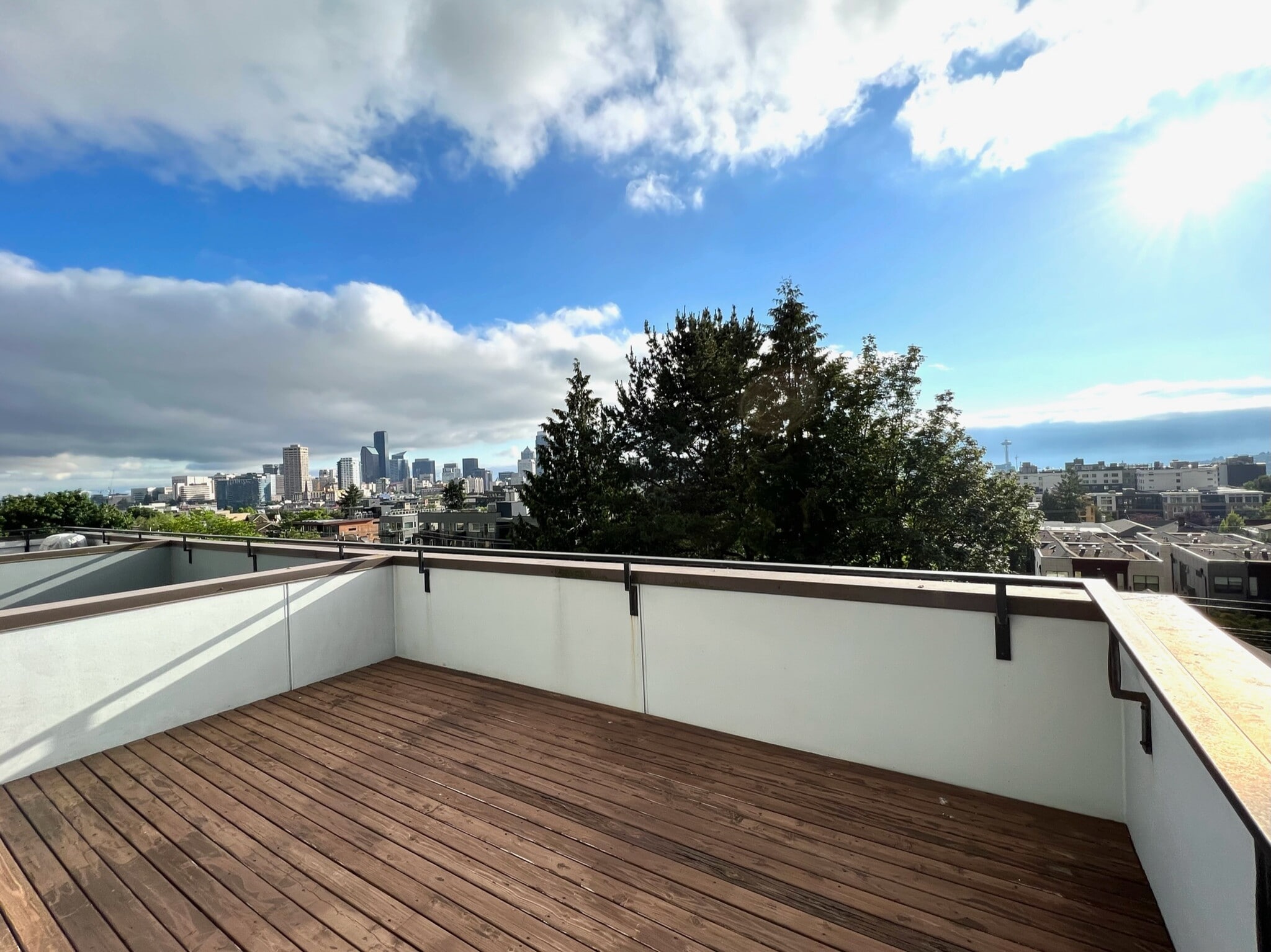 City view from rooftop deck - 211 13th Ave E