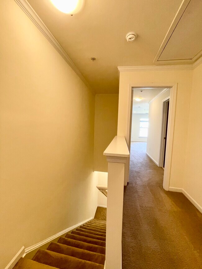 Building Photo - 3817 Picasso Ct