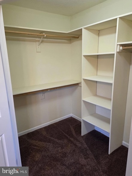 Building Photo - 50-C3 Courtney Cir