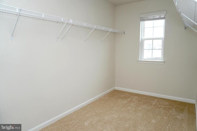 Building Photo - 238 Gumspring Dr