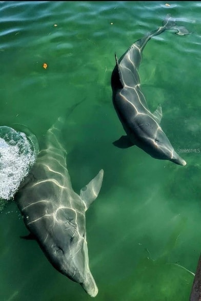 Building Photo - 17070 Byron Ave