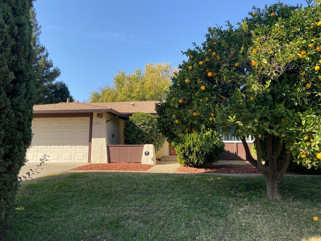 Building Photo - Remodeled 4 Bedroom 2 Bathroom Home with Yard