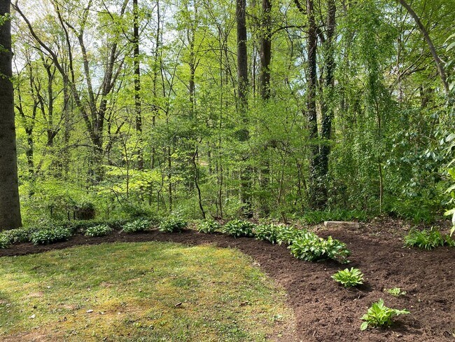 Building Photo - East AVL - Mid Century Modern Beauty in Botany Woods!