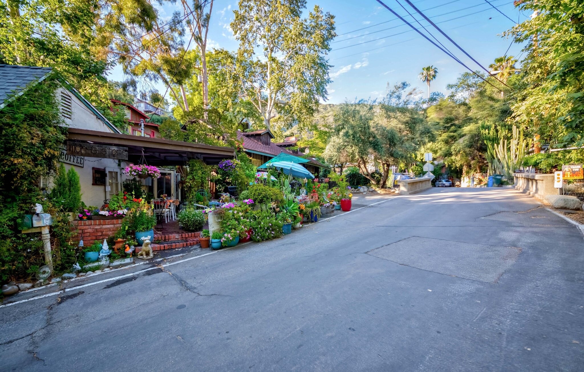 Building Photo - 618 Woodland Dr