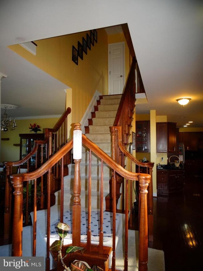 Primary Photo - 6453 Swimmer Row Way