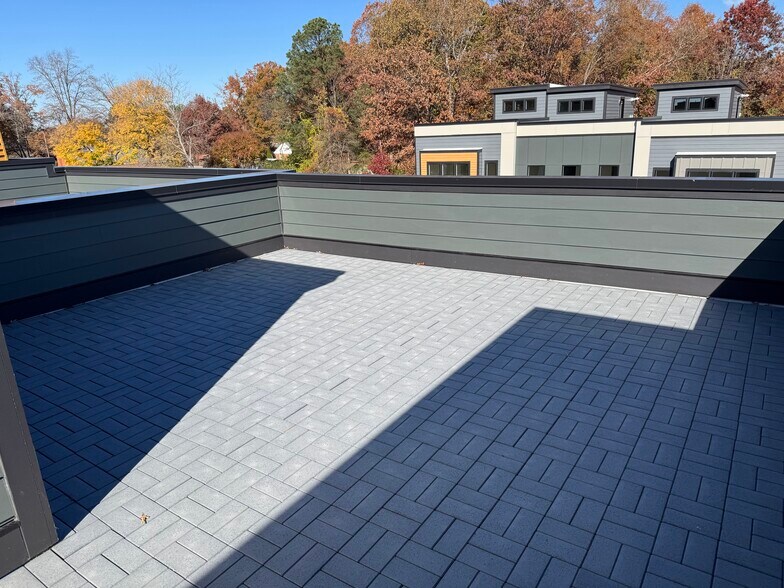 Rooftop Terrace - View #1 - 4406 Dominion Forest Cir