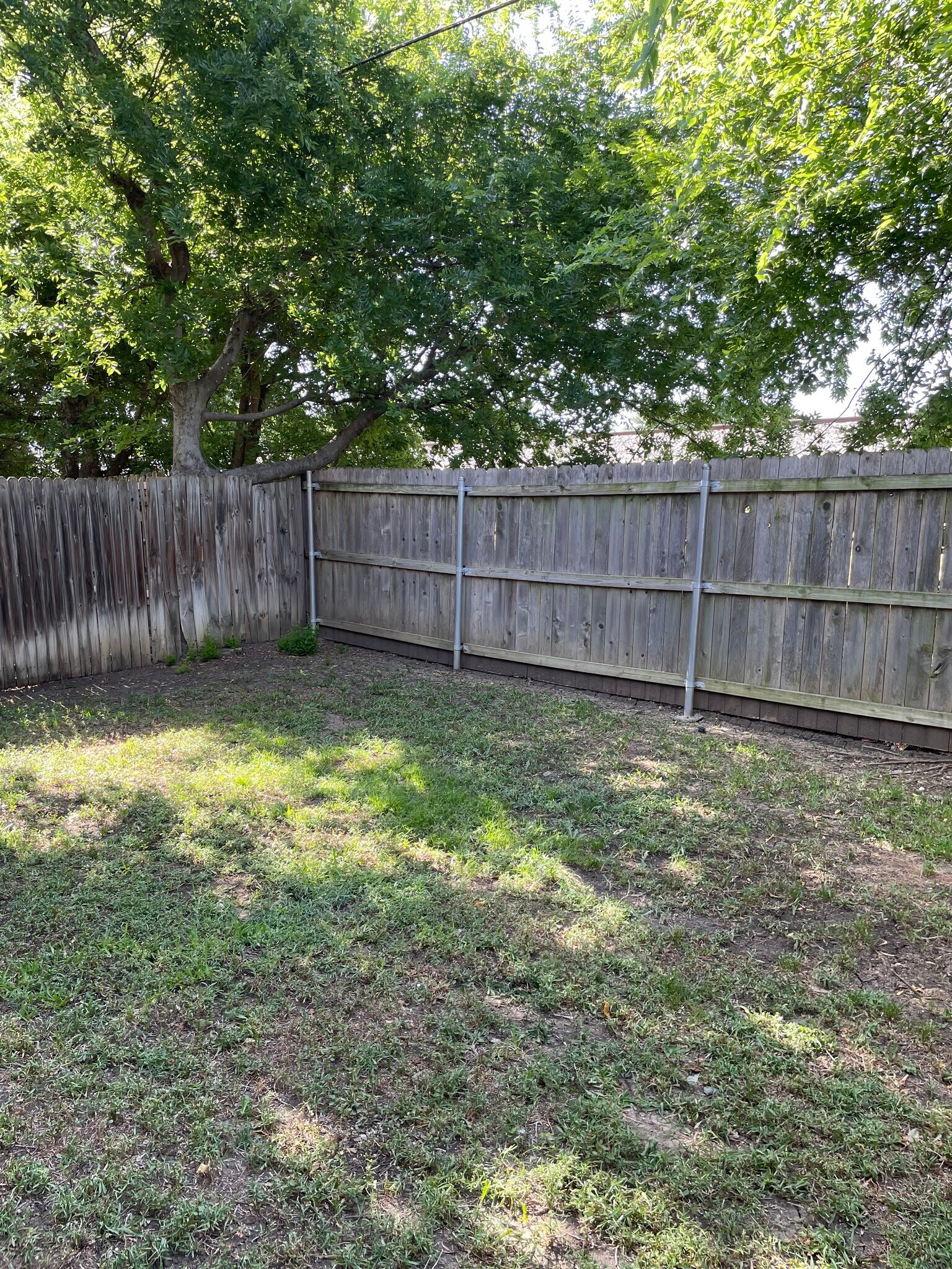 Backyard - 1261 W Hudgins St