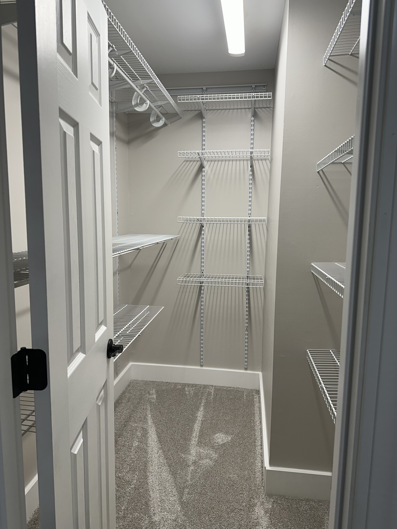 Walk-in customized closet. - 2154 Willowgrove Ave