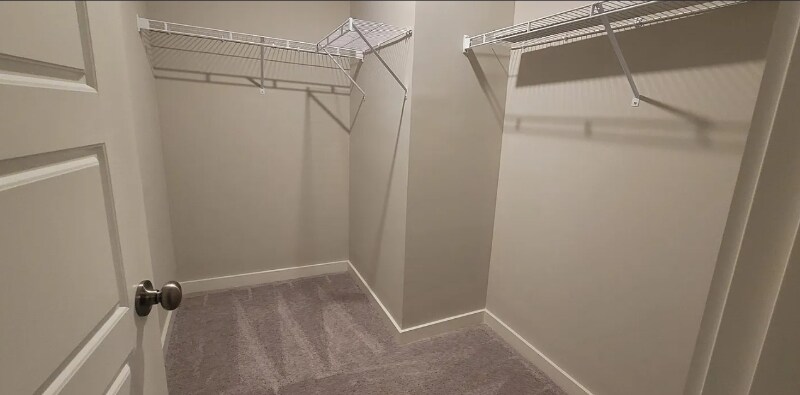 Building Photo - 1778 Frodo Wy