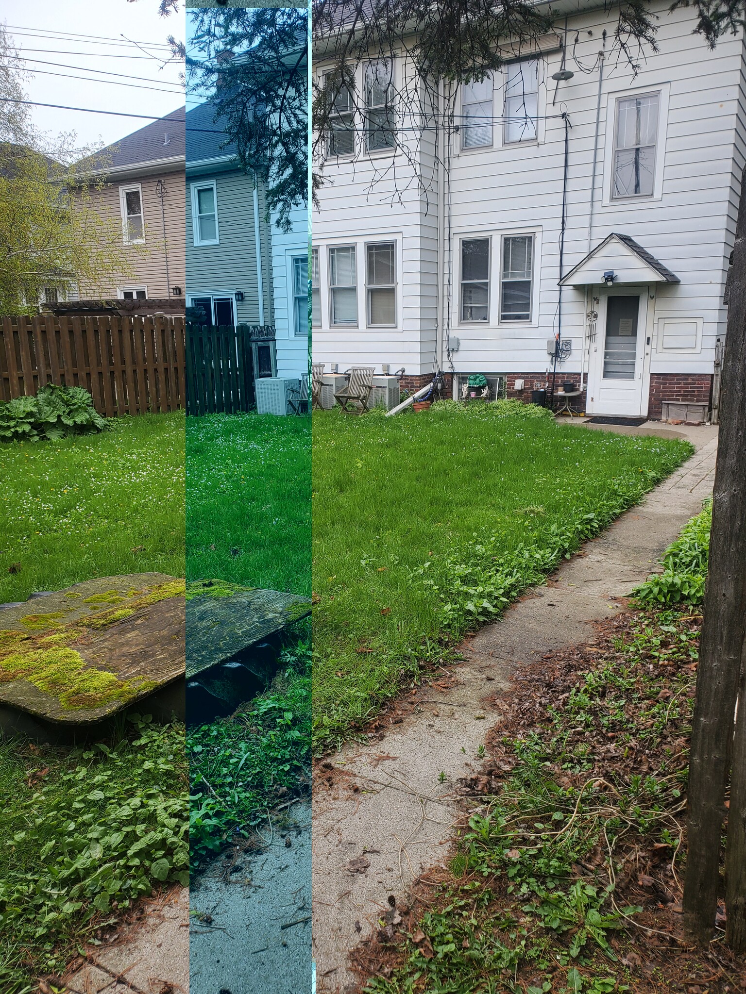 Backyard - 1226 Blaine Ave
