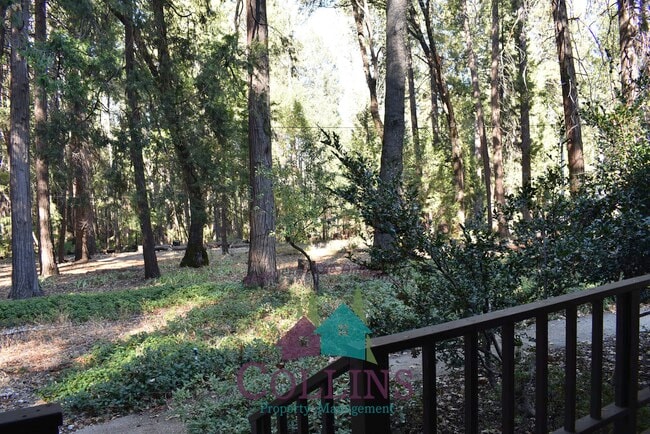 Building Photo - 11071 Cedar Ridge Dr