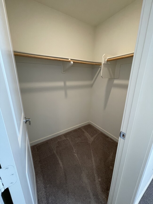 Master Walk-in Closet - 2524 S Escondido Blvd