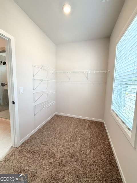 Building Photo - 5369 Windridge Pkwy