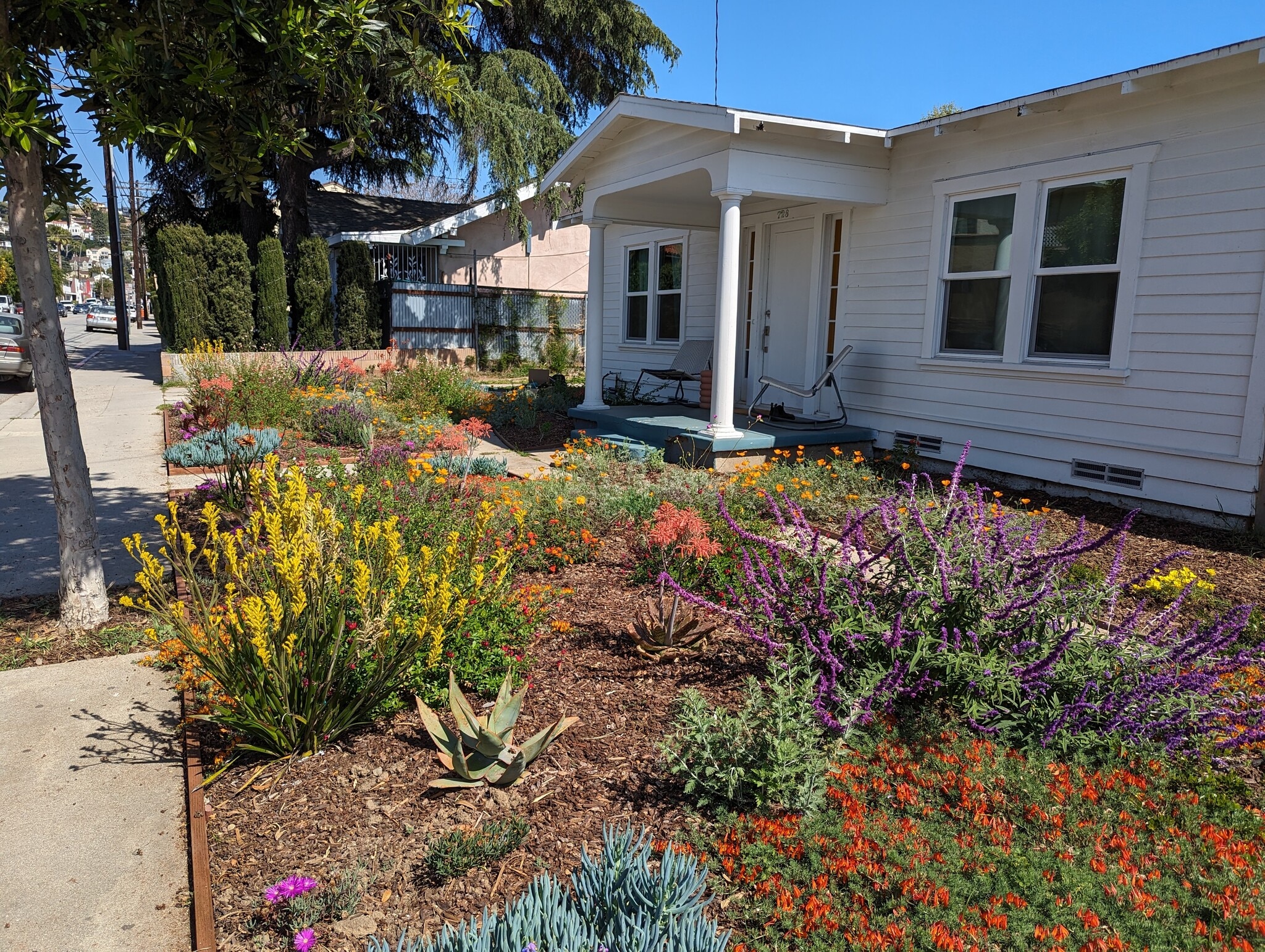 Building Photo - 728 E Palmer Ave