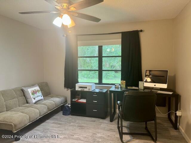 Building Photo - 15 Begonias Ct