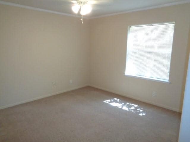 Building Photo - 10026 Sugarvine Ln