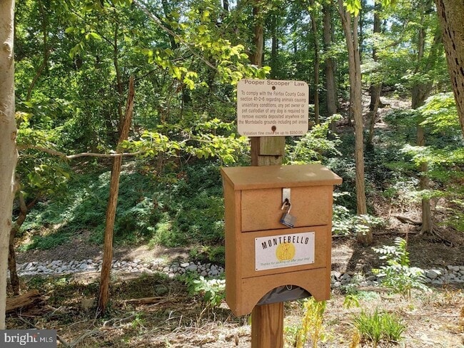 Building Photo - 5903 Mt Eagle Dr