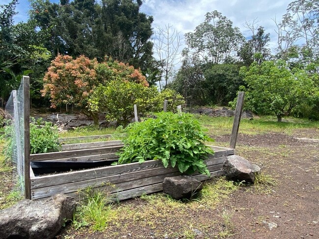 Building Photo - 3/2 In The Hawaiian Paradise Park Sunbelt!