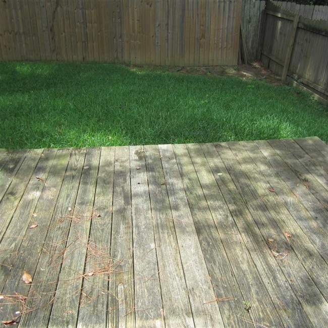 Building Photo - 319 Peach Orchard Dr