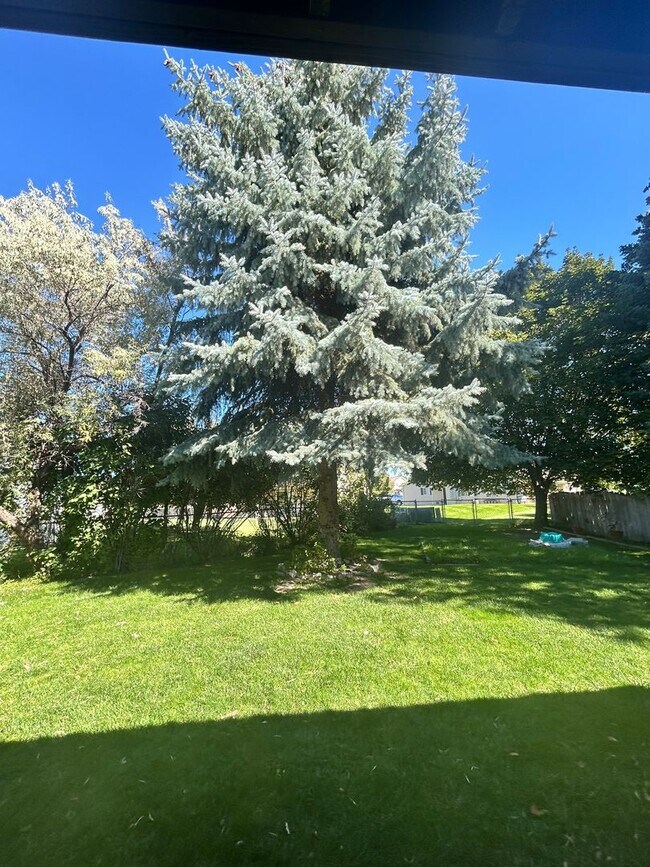 Building Photo - 3 bed 2 bath home in a great neighborhood
