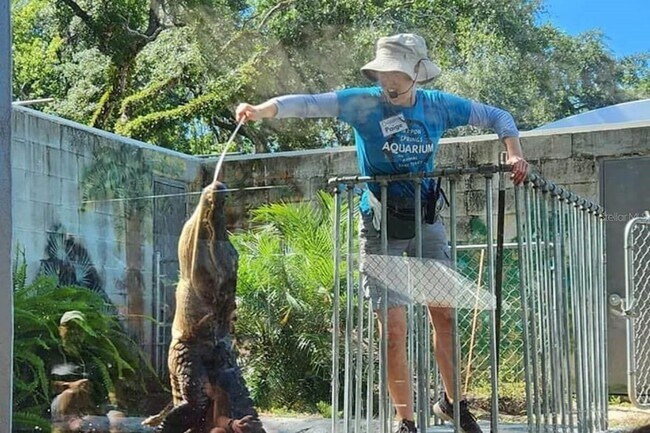 Building Photo - 9981 Eagles Point Cir