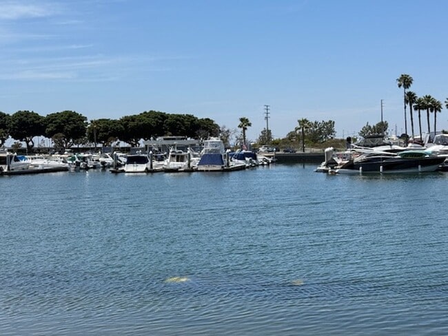 Building Photo - Unique Condo in Huntington Harbor