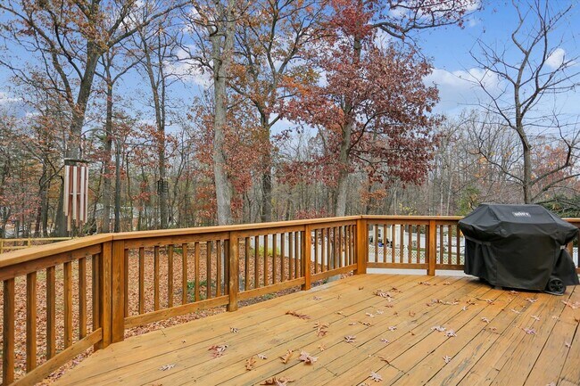 Building Photo - Wooded views in Silver Spring