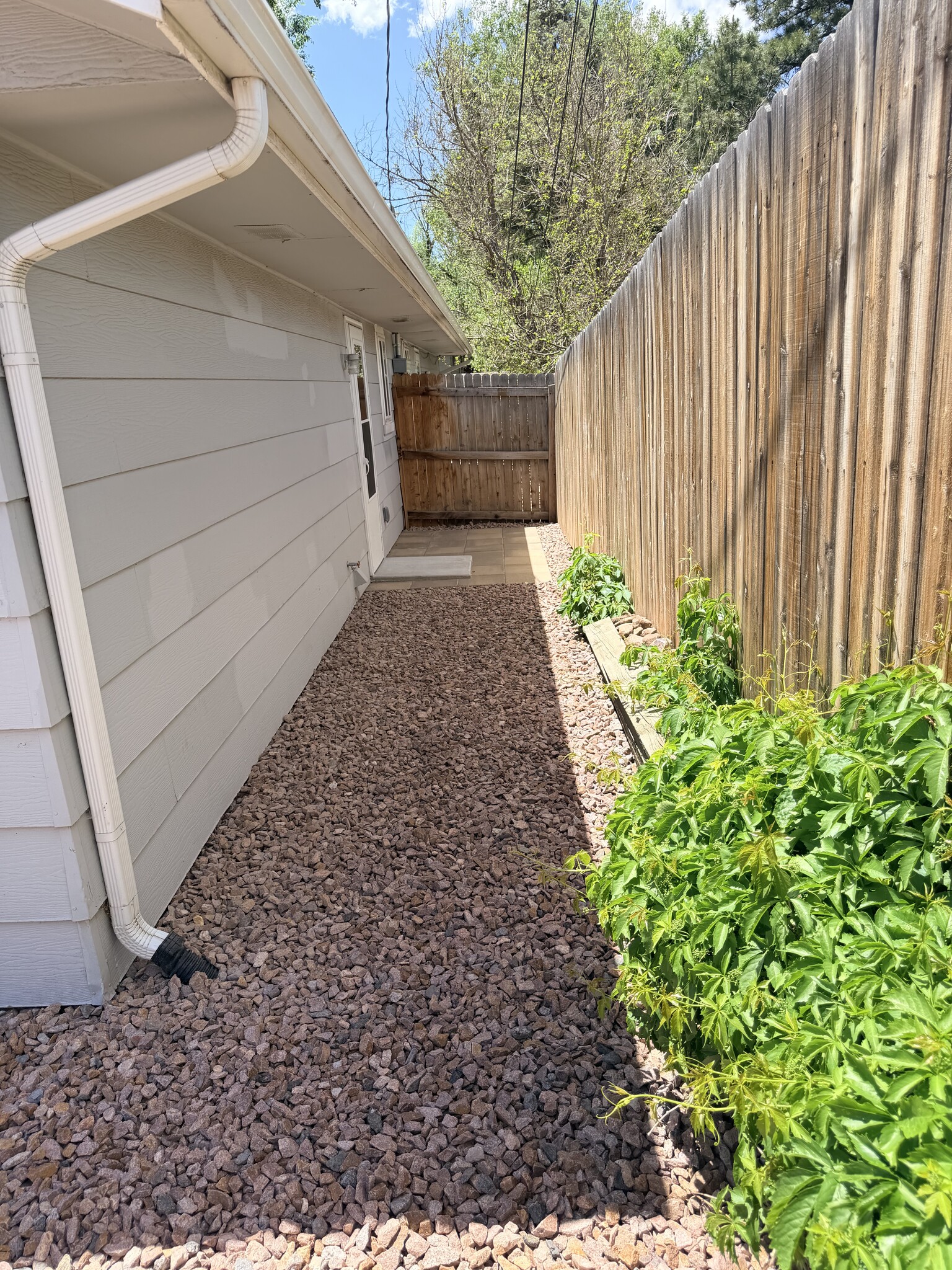 Yard w/ patio - 2525 W Vermijo Ave