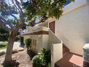 Building Photo - 2931 Plaza del Amo