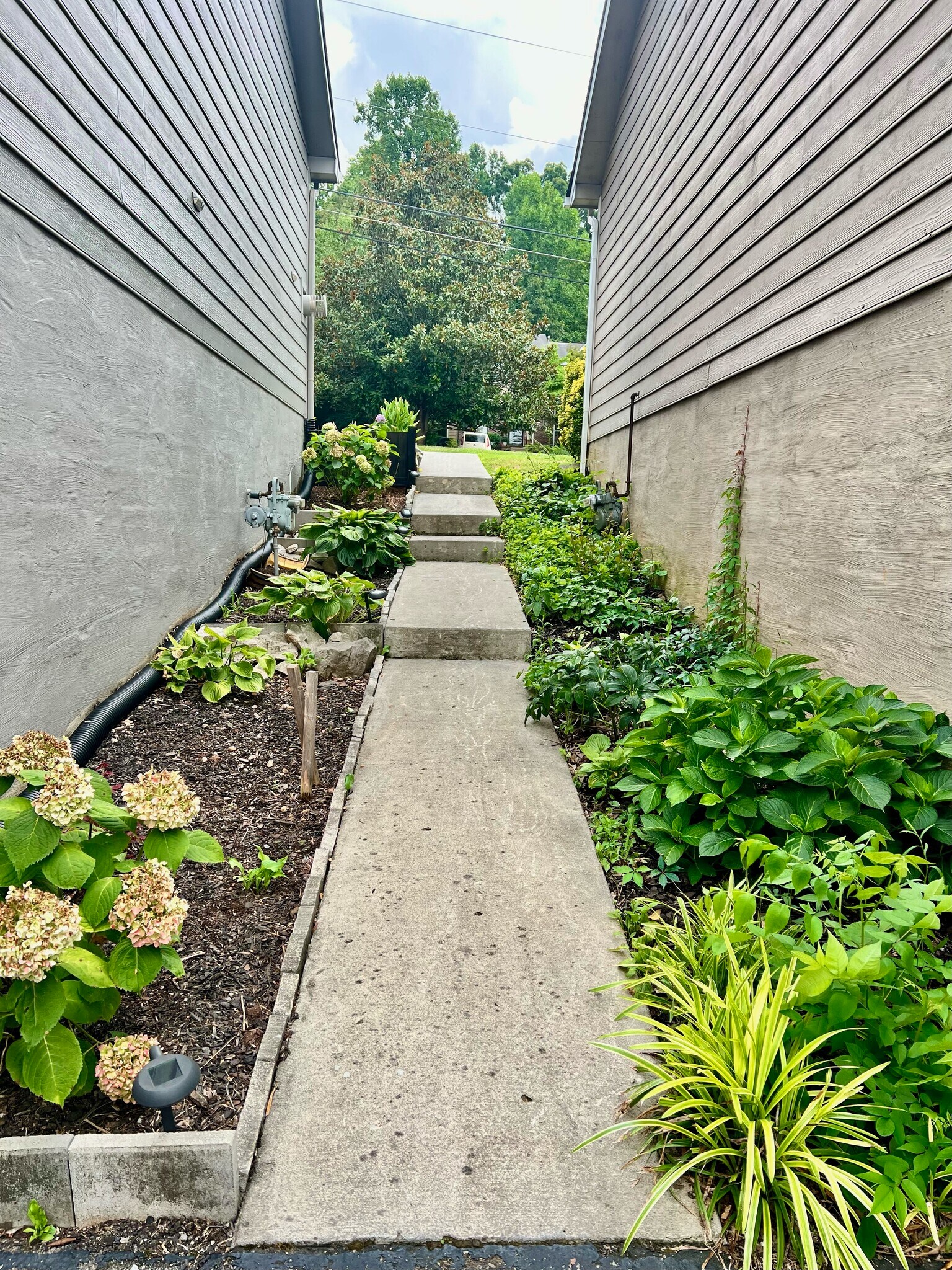 Walkway - 610 Shadywood Ln