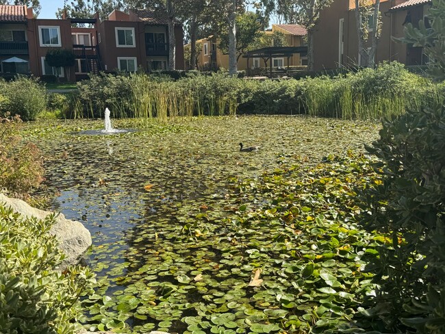 Building Photo - Rancho Bernardo Waterbridge Condos