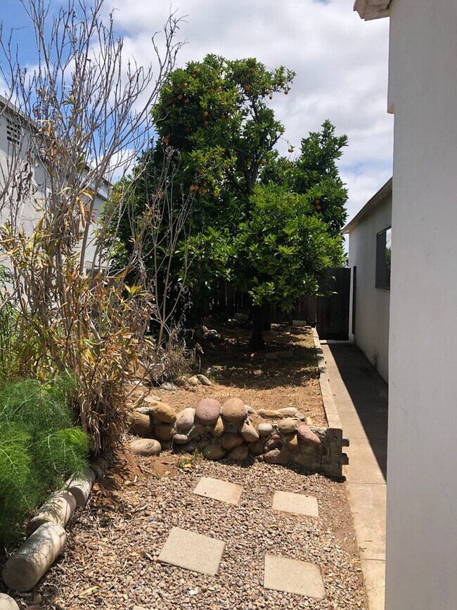 Building Photo - Spacious Single Story 4 bed 2 bath home in Serra Mesa w/2 car garage