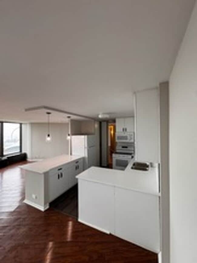 Building Photo - 505 N Lake Shore Dr