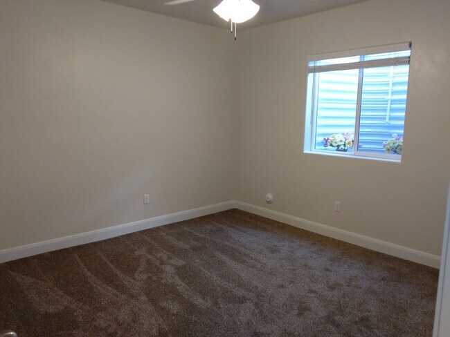 Building Photo - Brand New Daylight Basement Apt.